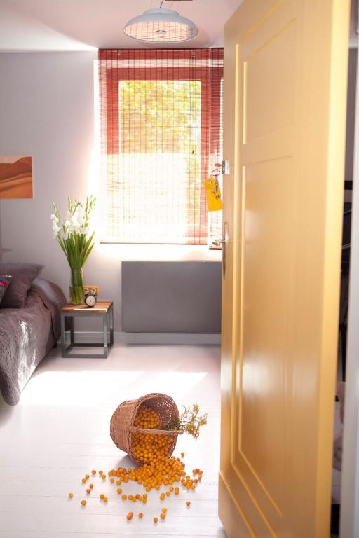 Republika Sloneczna Bed & Breakfast Poznań Cameră foto